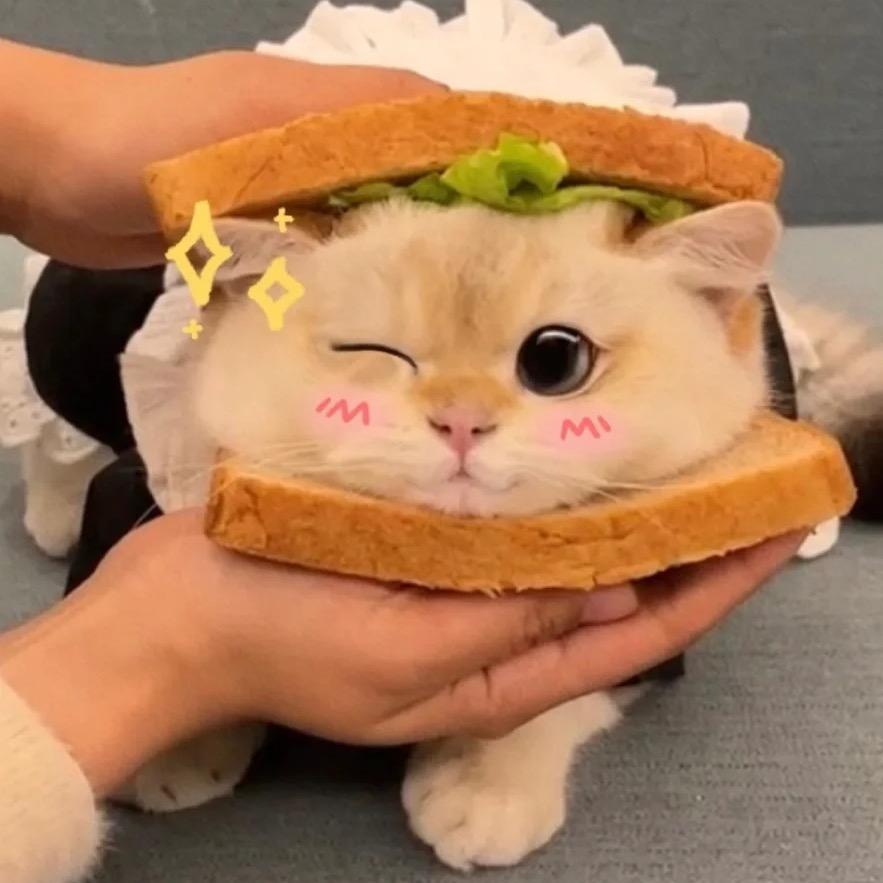 草莓花卷