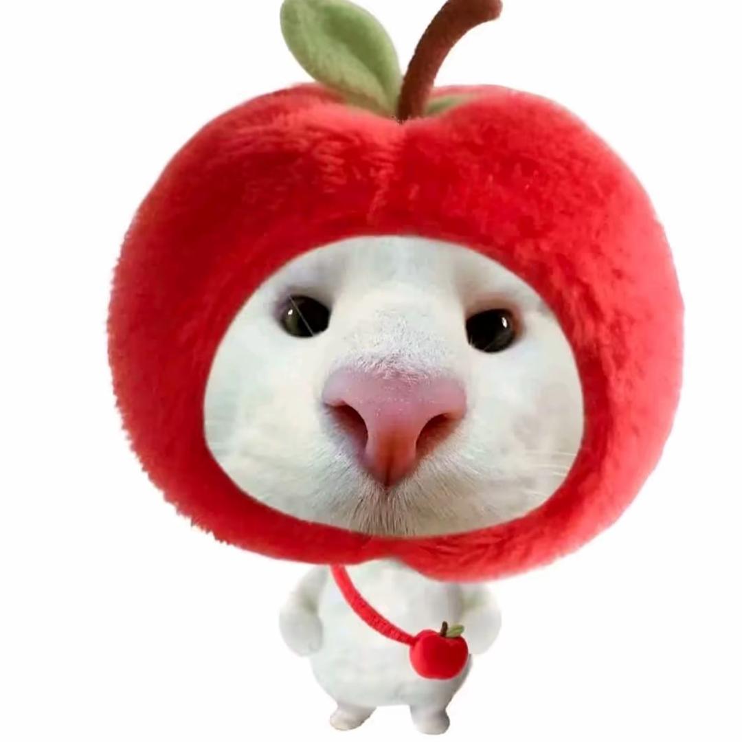 o茹^