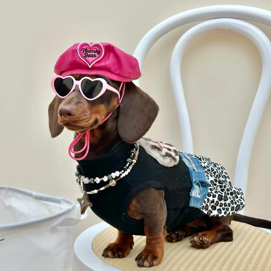 维尼宠物生活馆