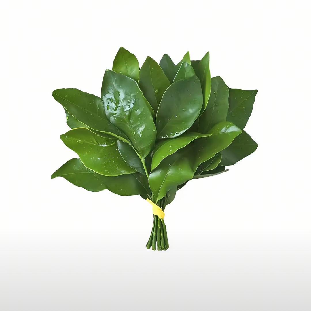 第七秒遇-函🦔