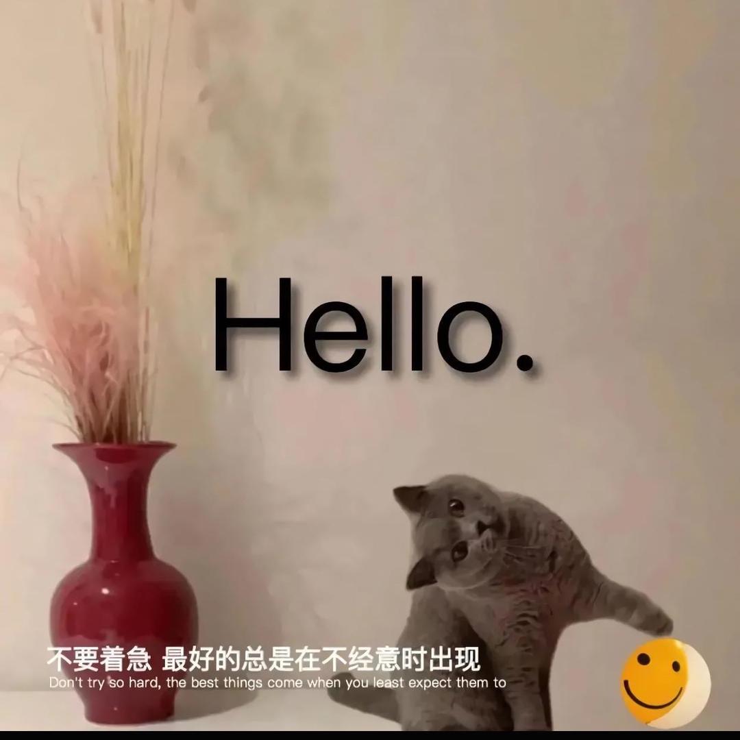 ✨大嫦包小嫦