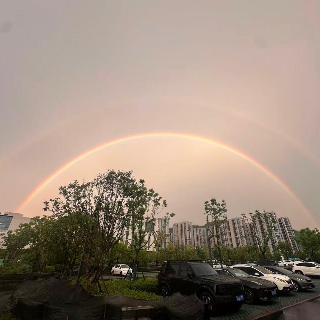 九动九动九不动