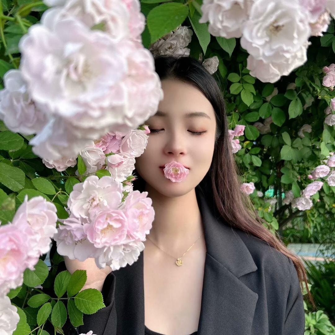 梅子没烦恼