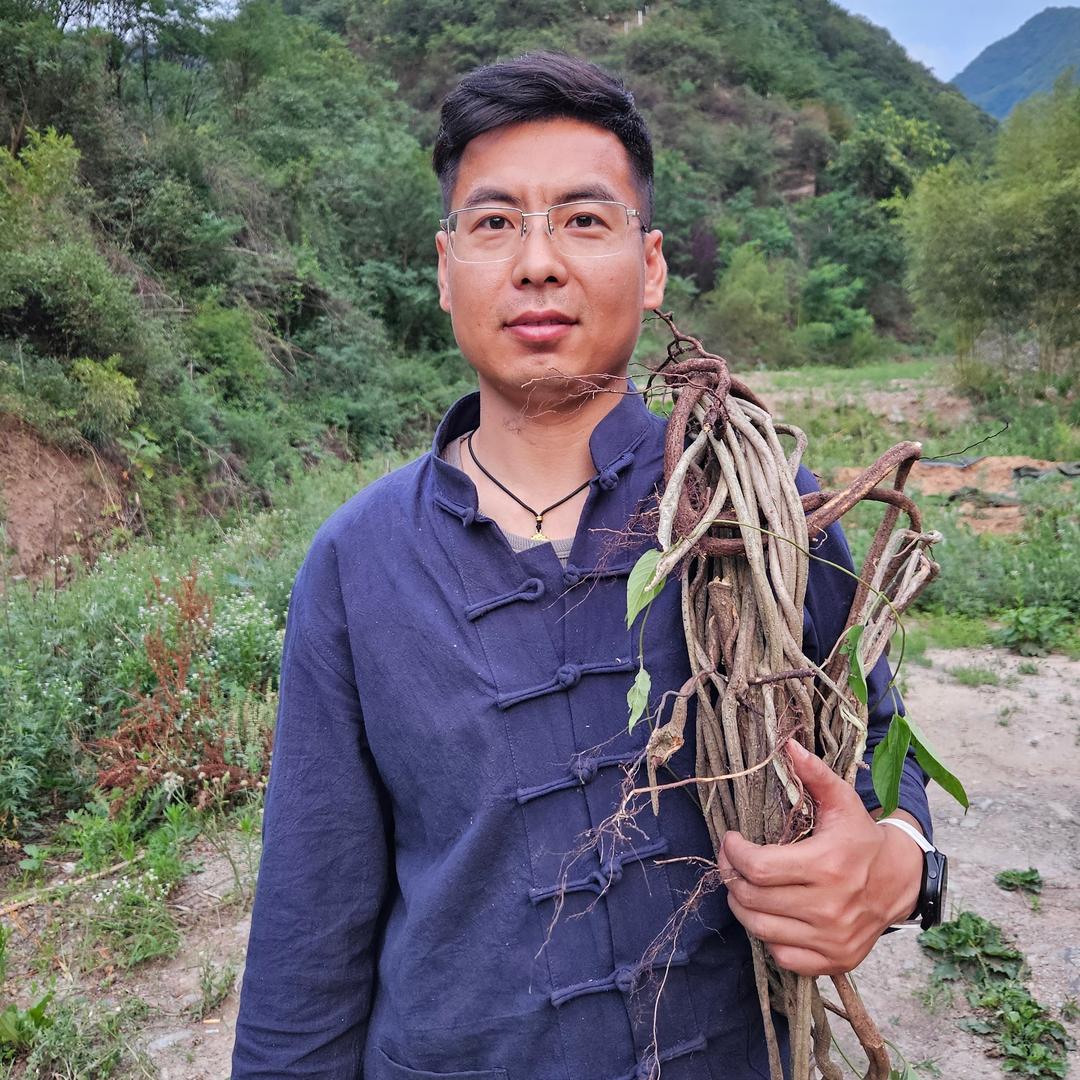 曹探本草