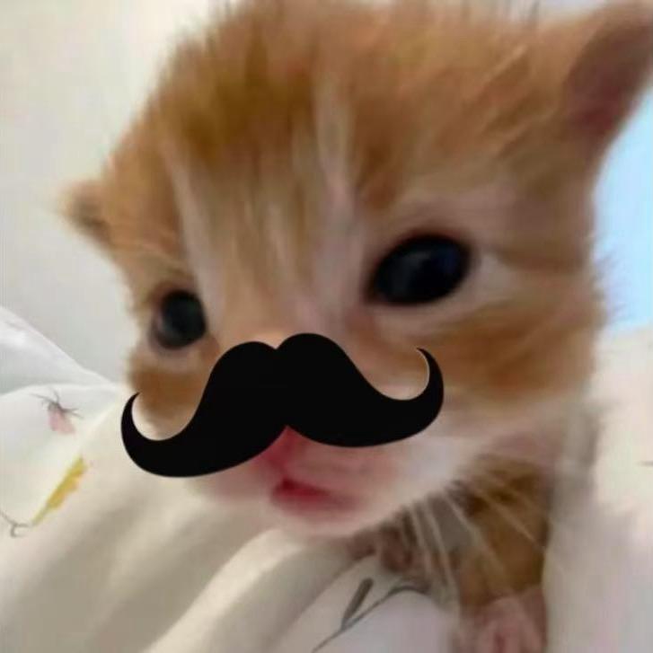 忧郁的猫猫大王