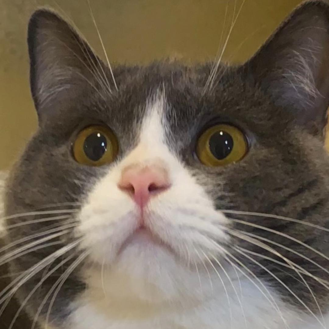 小溪的新生活呀✌️