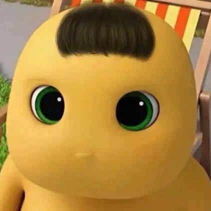 没头脑🥑