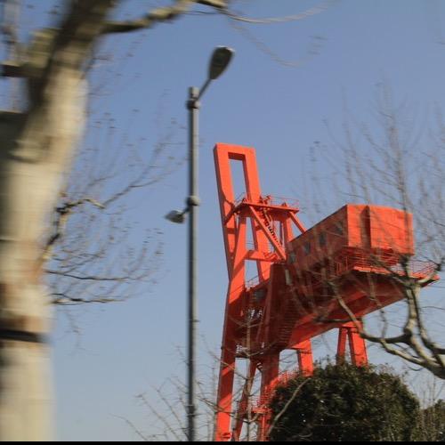 杉