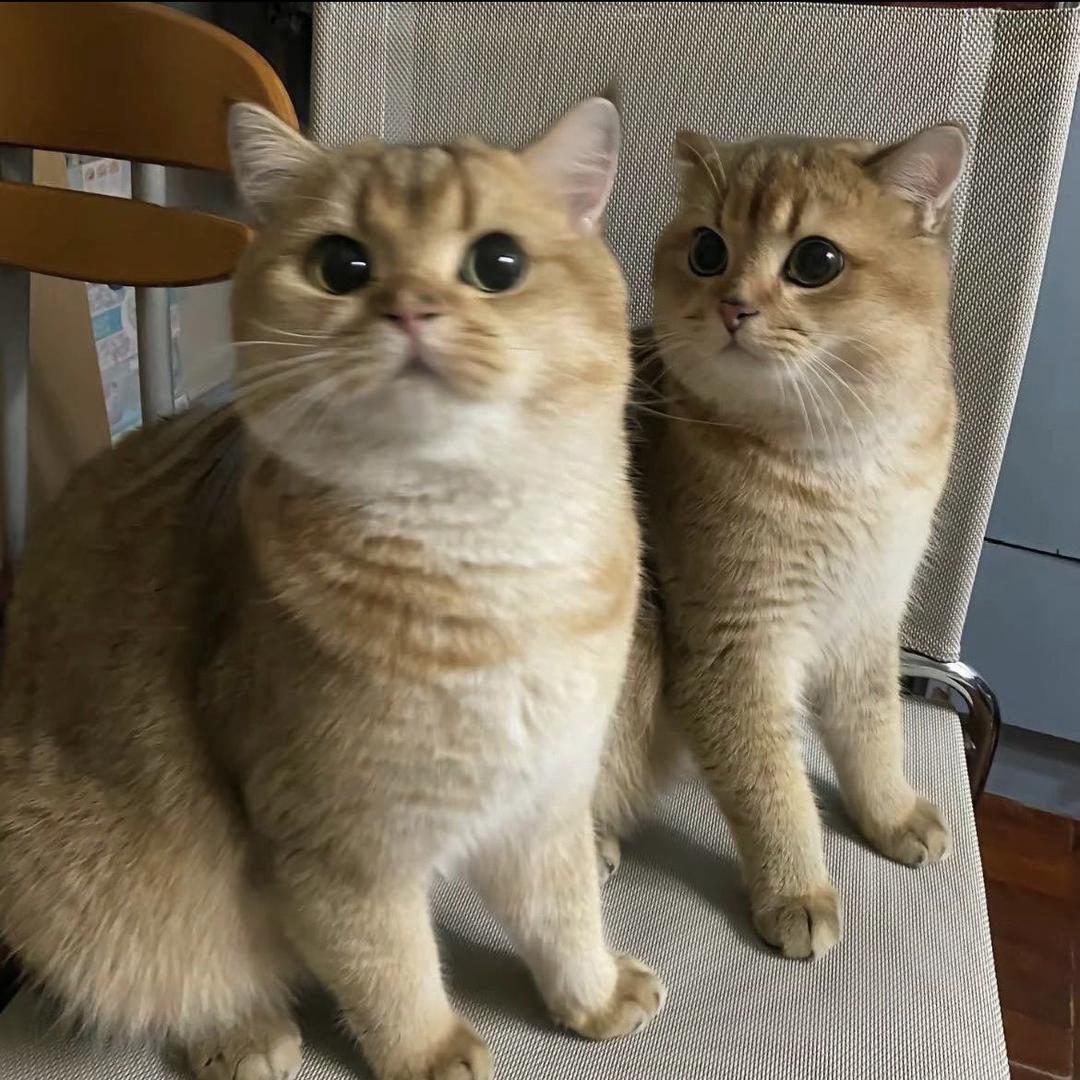 3金x