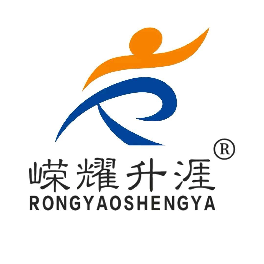 宁夏升学规划（嵘耀升涯）