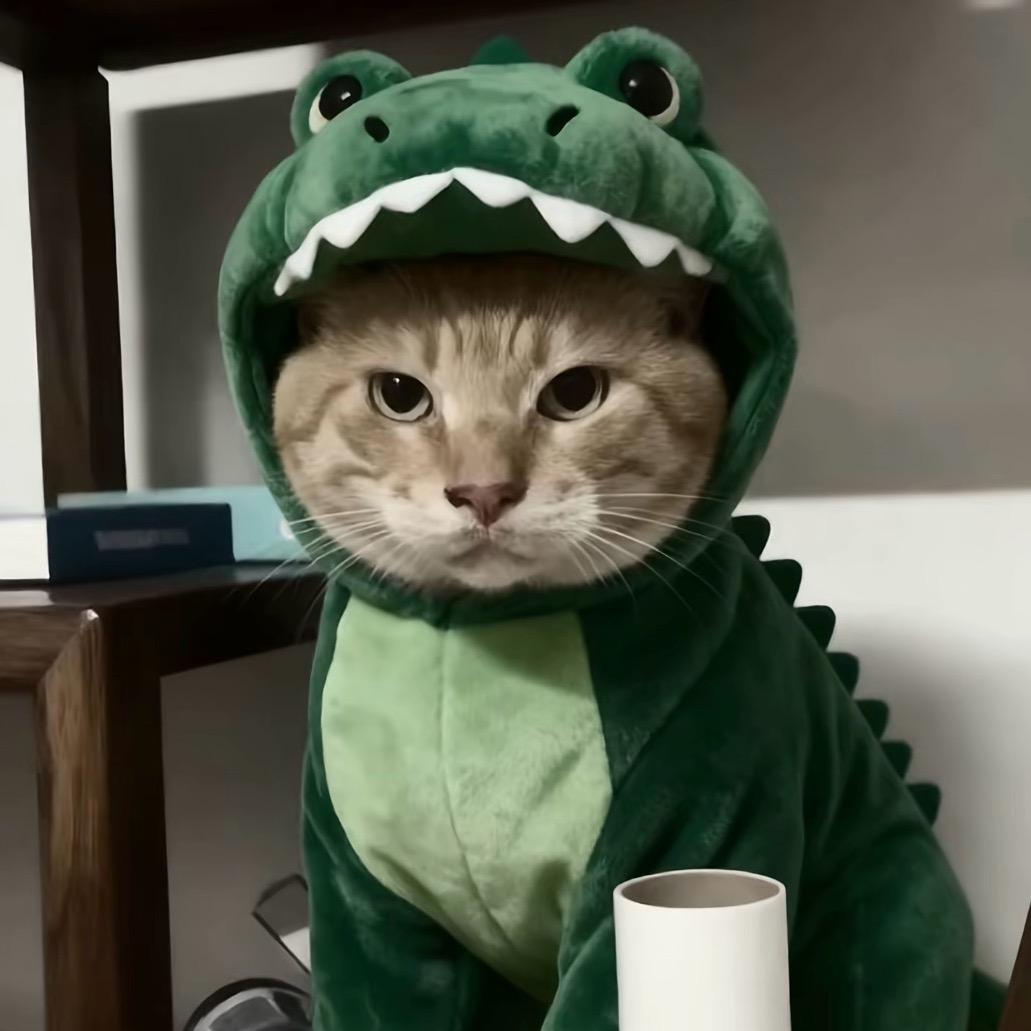 AAA南北绿豆哈基米