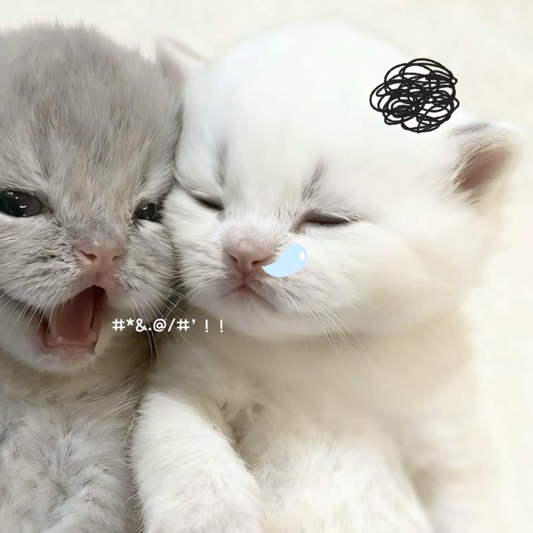 我要吃喂喂辣