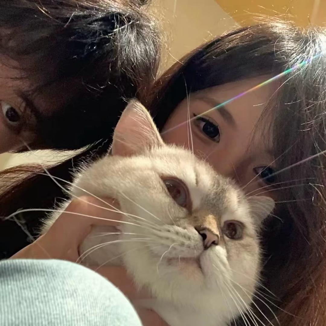 麻烦你开心