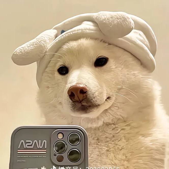 潮玩小恺