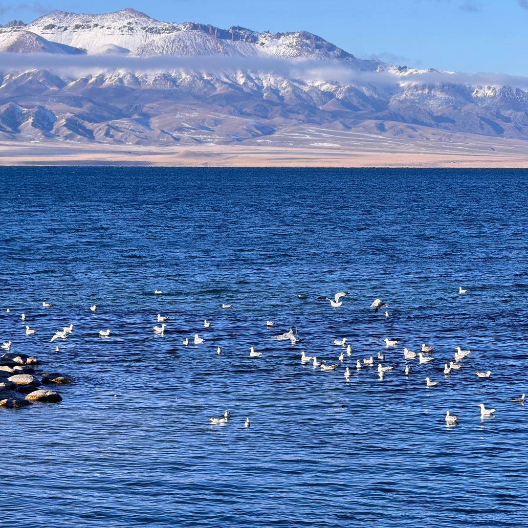 俊华