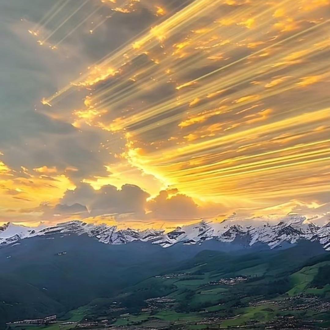 请你忘掉我的模样