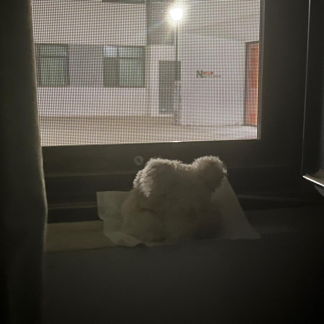 瑾言💫
