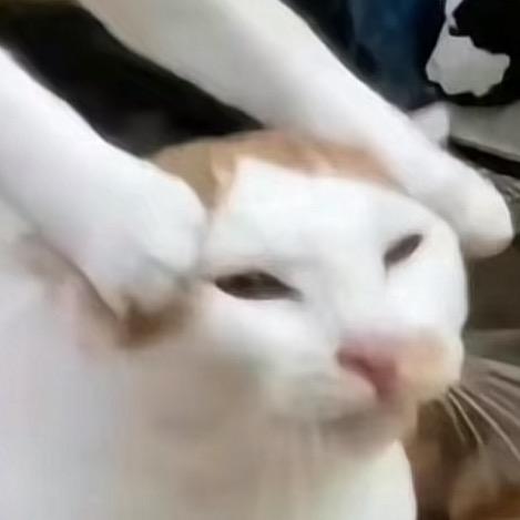 很讨厌我吗