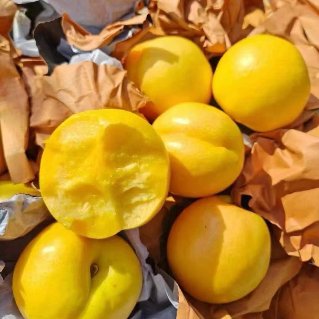 儒清沂蒙特产铺