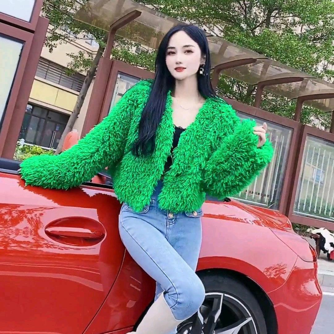 杨家二小姐
