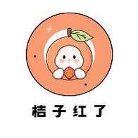 桔子服装2