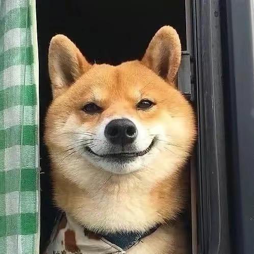 胖扣扣i