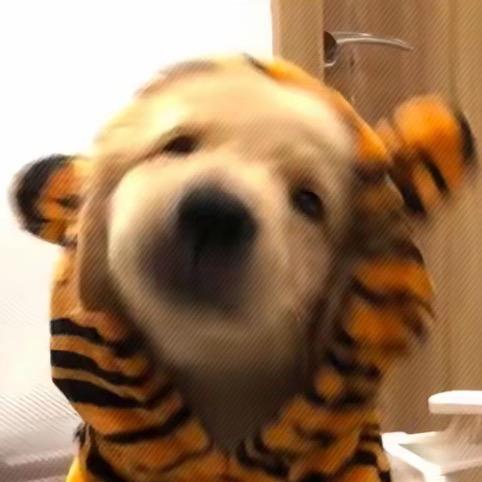 H-Z