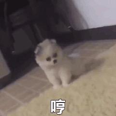 当前