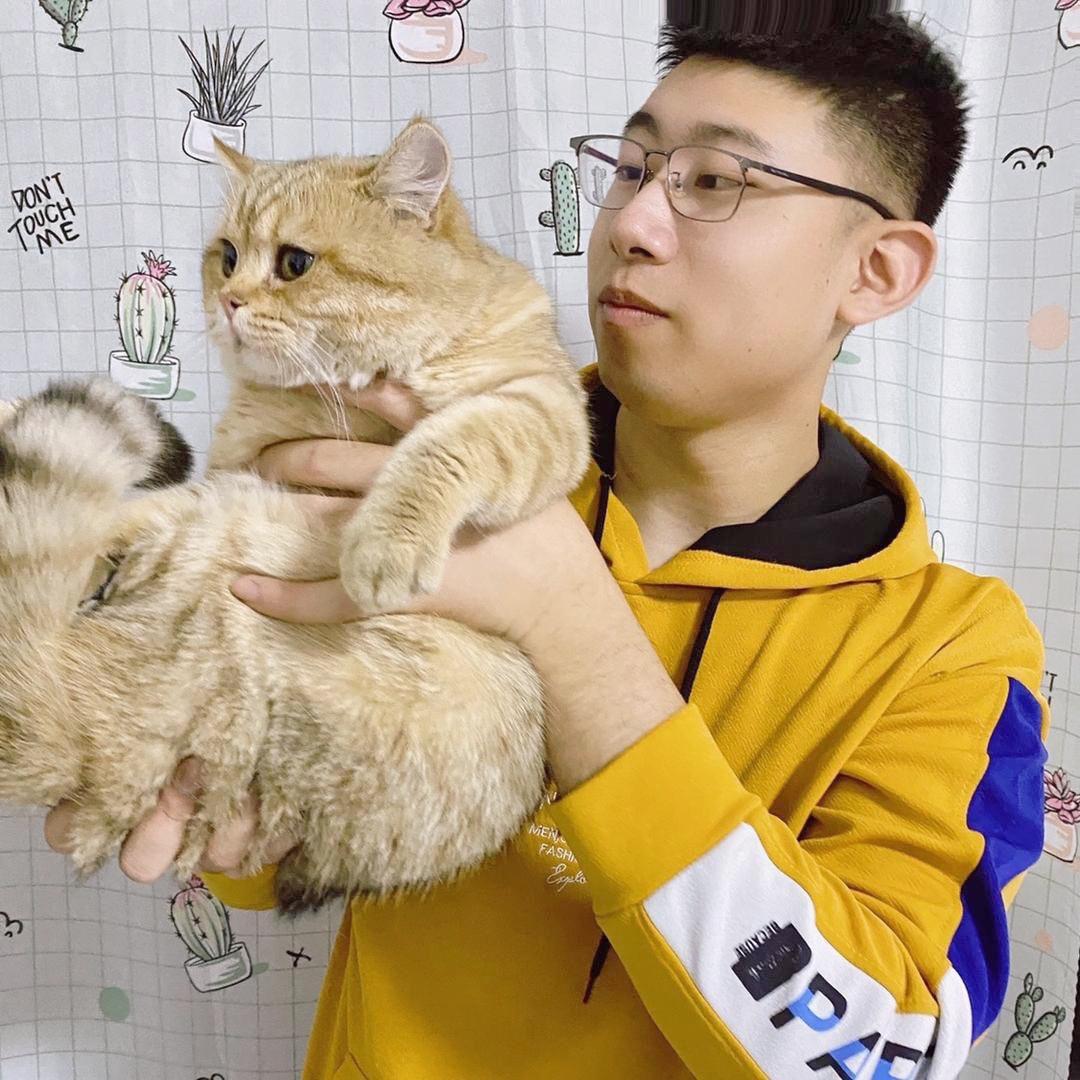 萝卜东