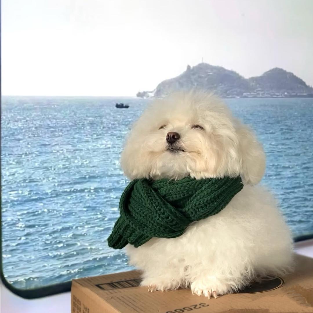 金文虎
