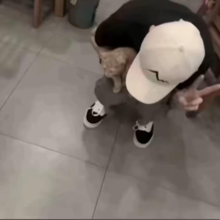 嘴硬