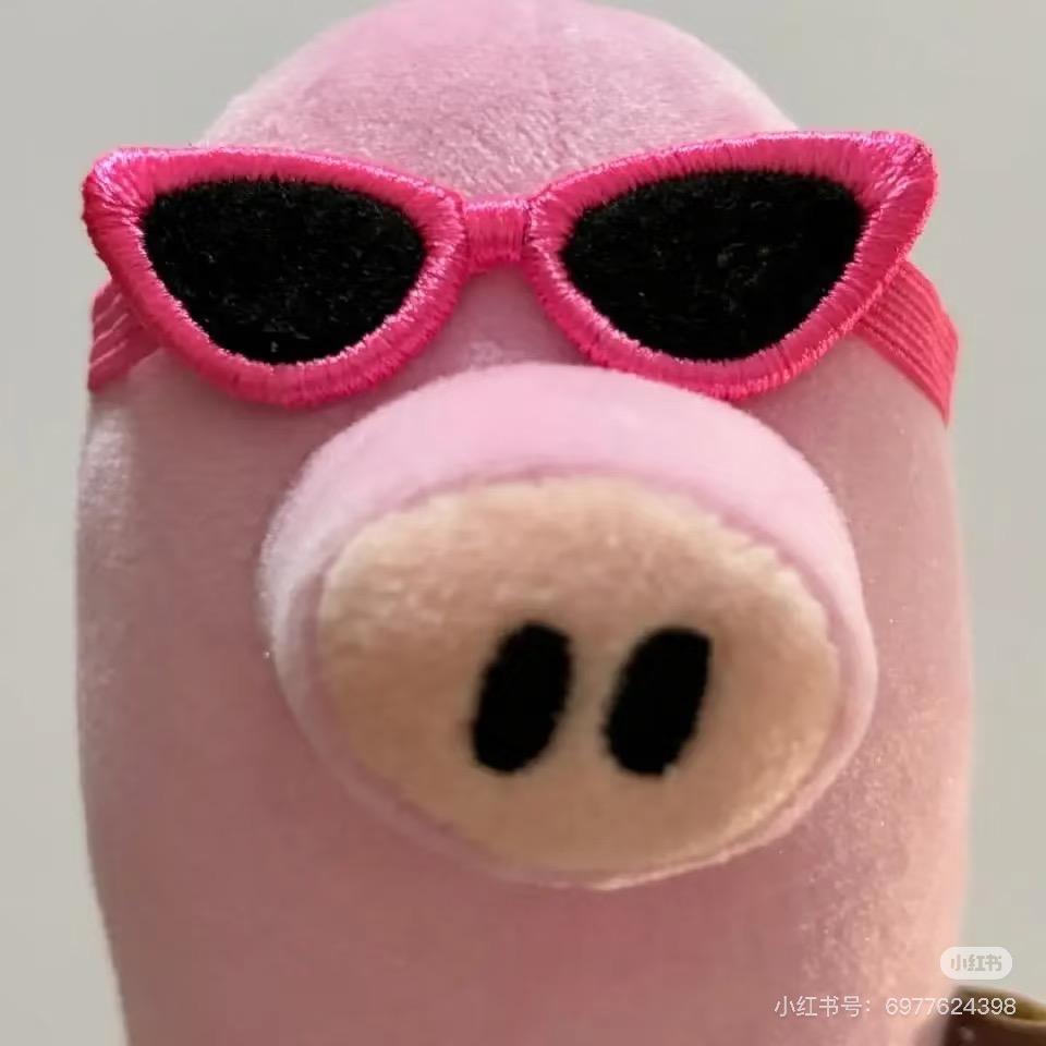 澜崽