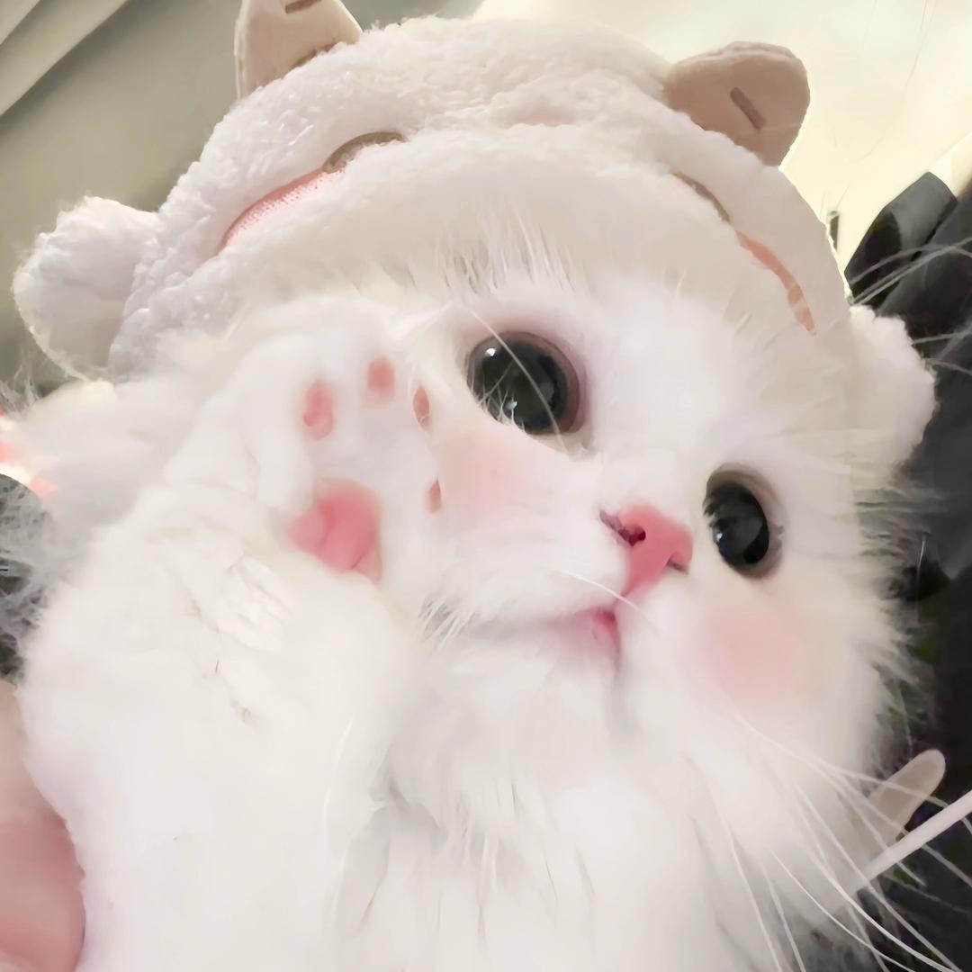 小瑾*