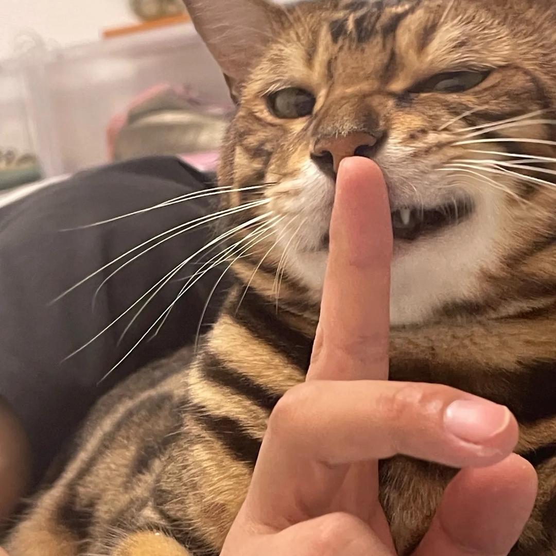 纪梵希