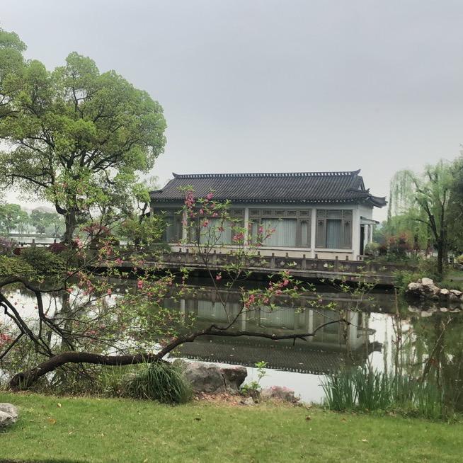 微雨初晓