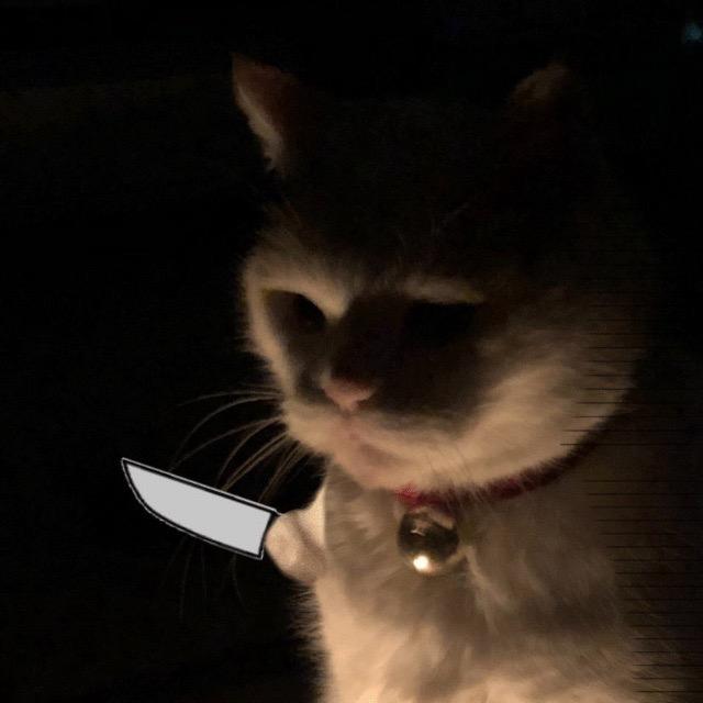 阿亓亓亓亓亓i。