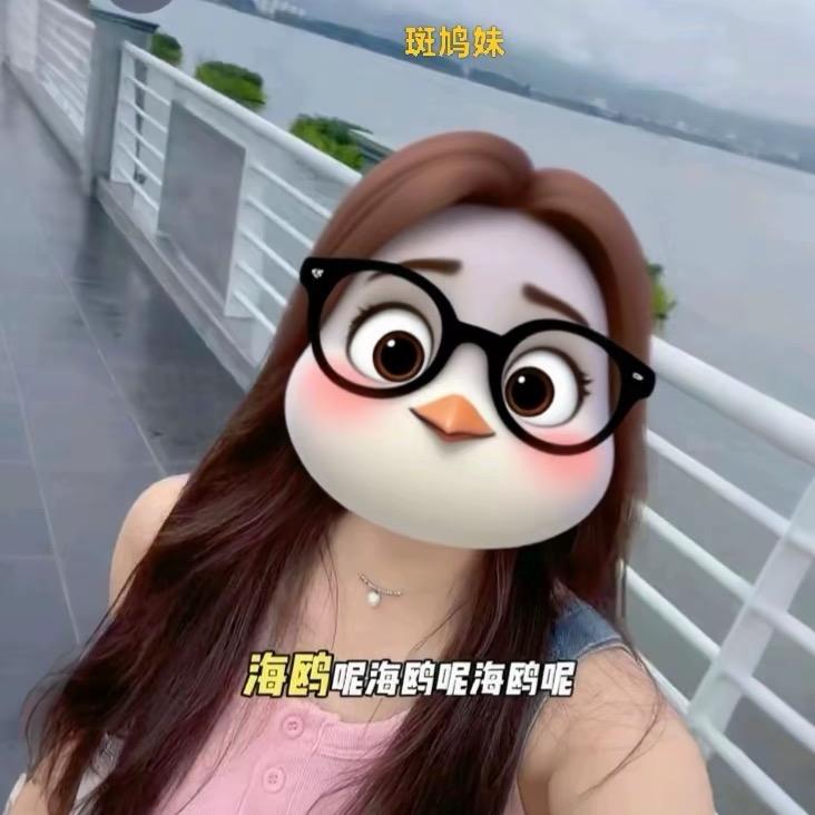 赵大美女🌷