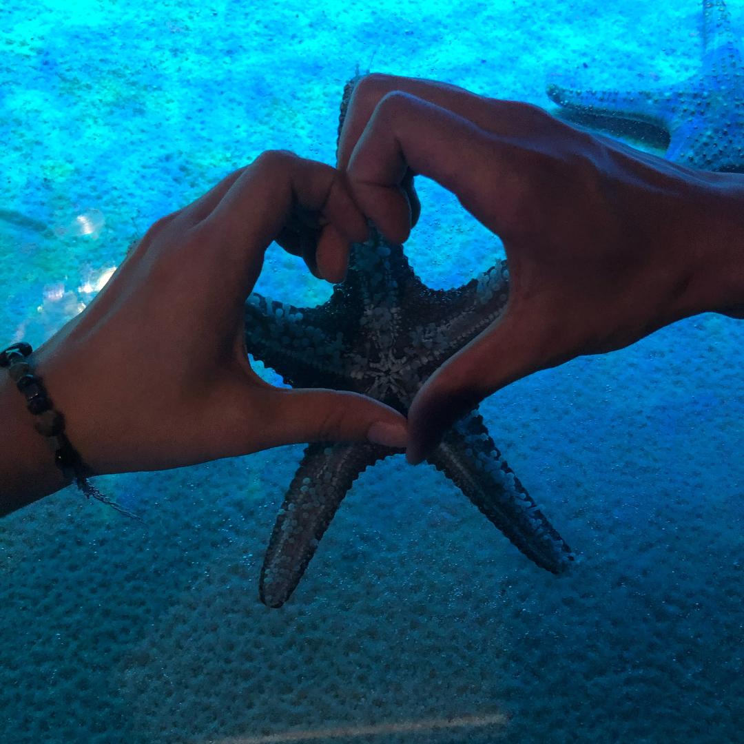 鼠鼠爱跑刀(个人跑刀)