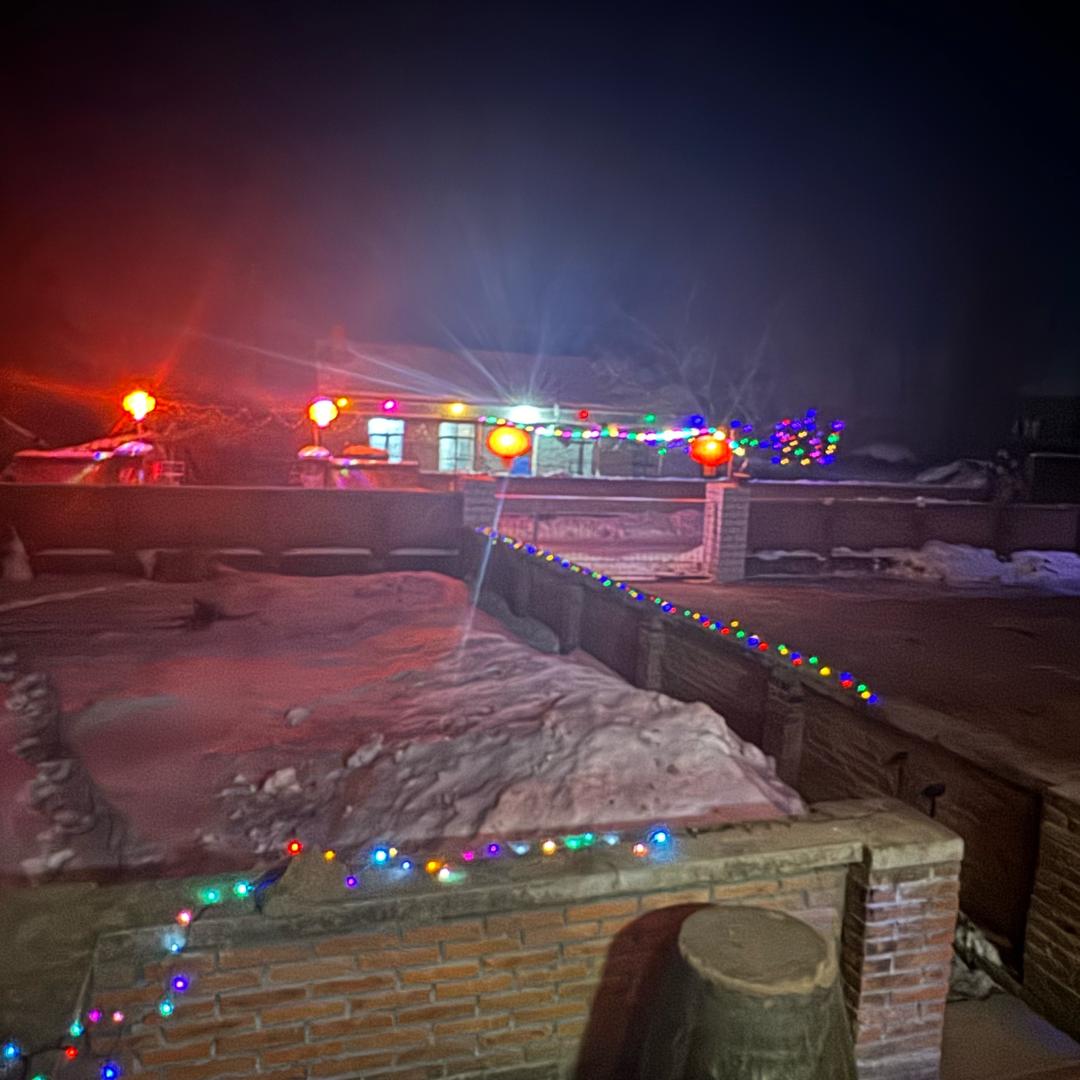 东北大鹏在北京