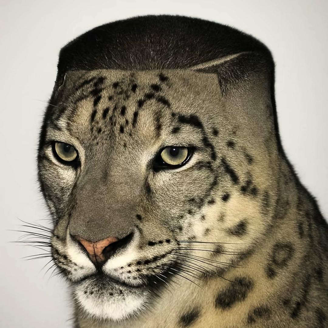 十