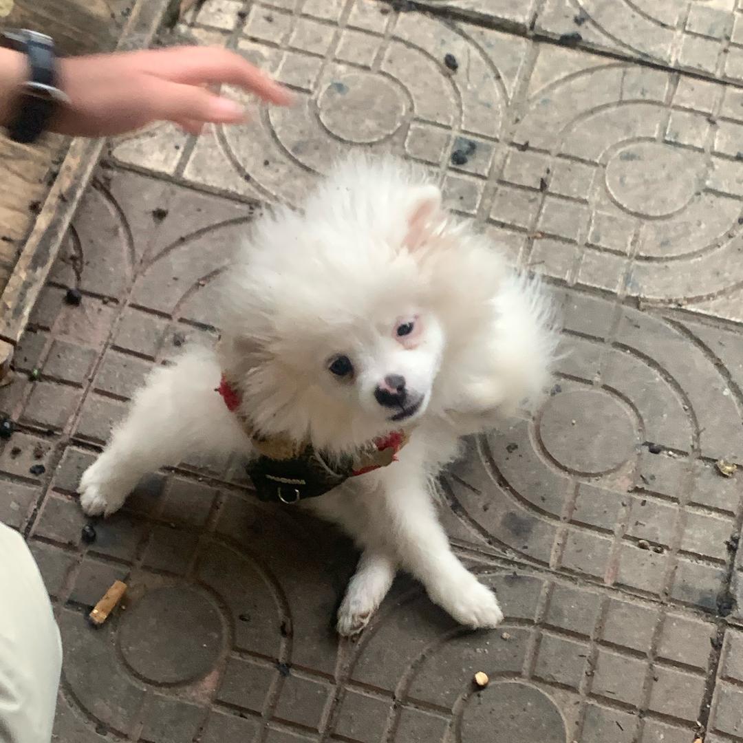 拉妮娜的大杂烩