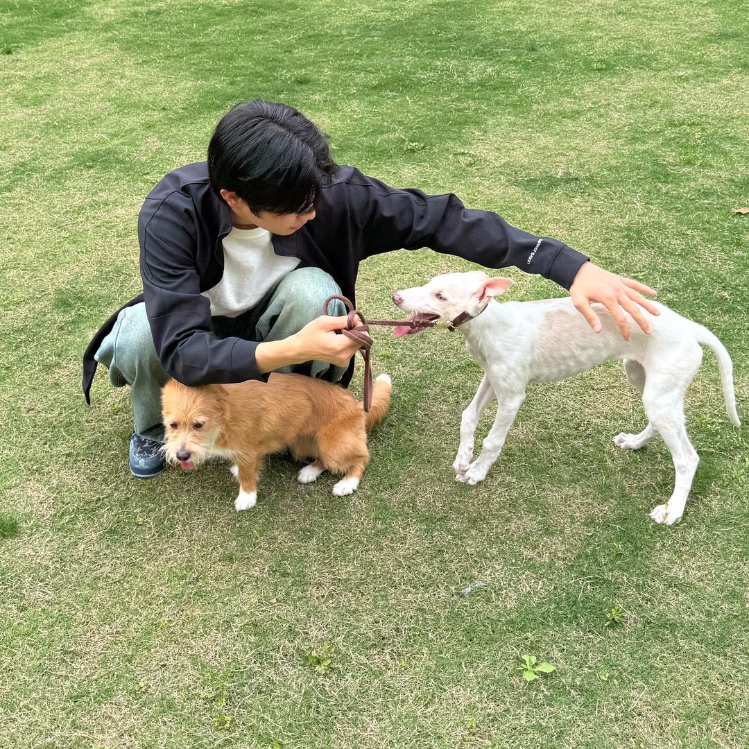 一个红阳🌞