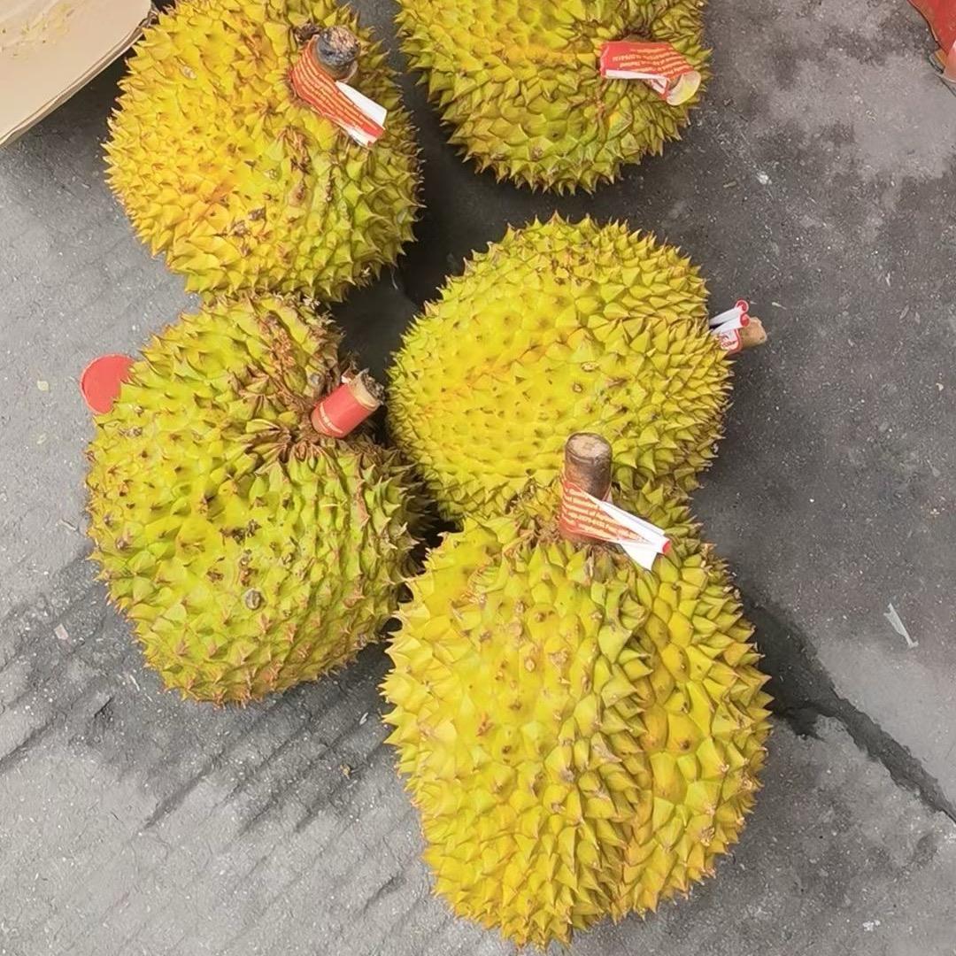 聂坤