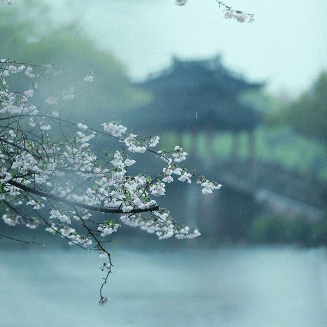 蓦山溪