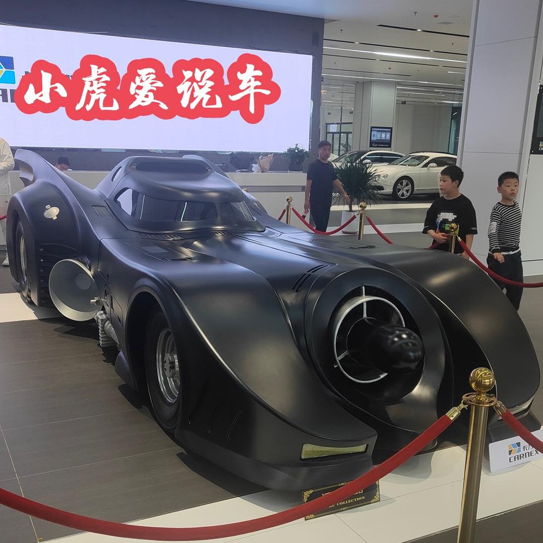 小虎爱拍车