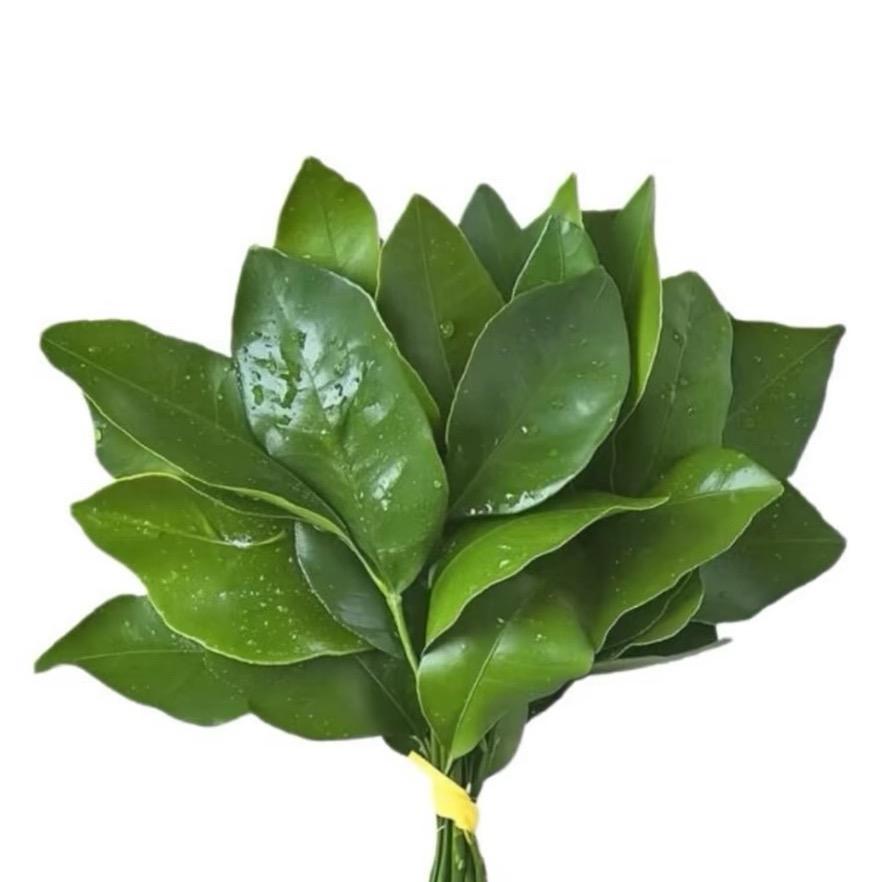 或许我真的适合一个人