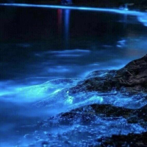梦凡