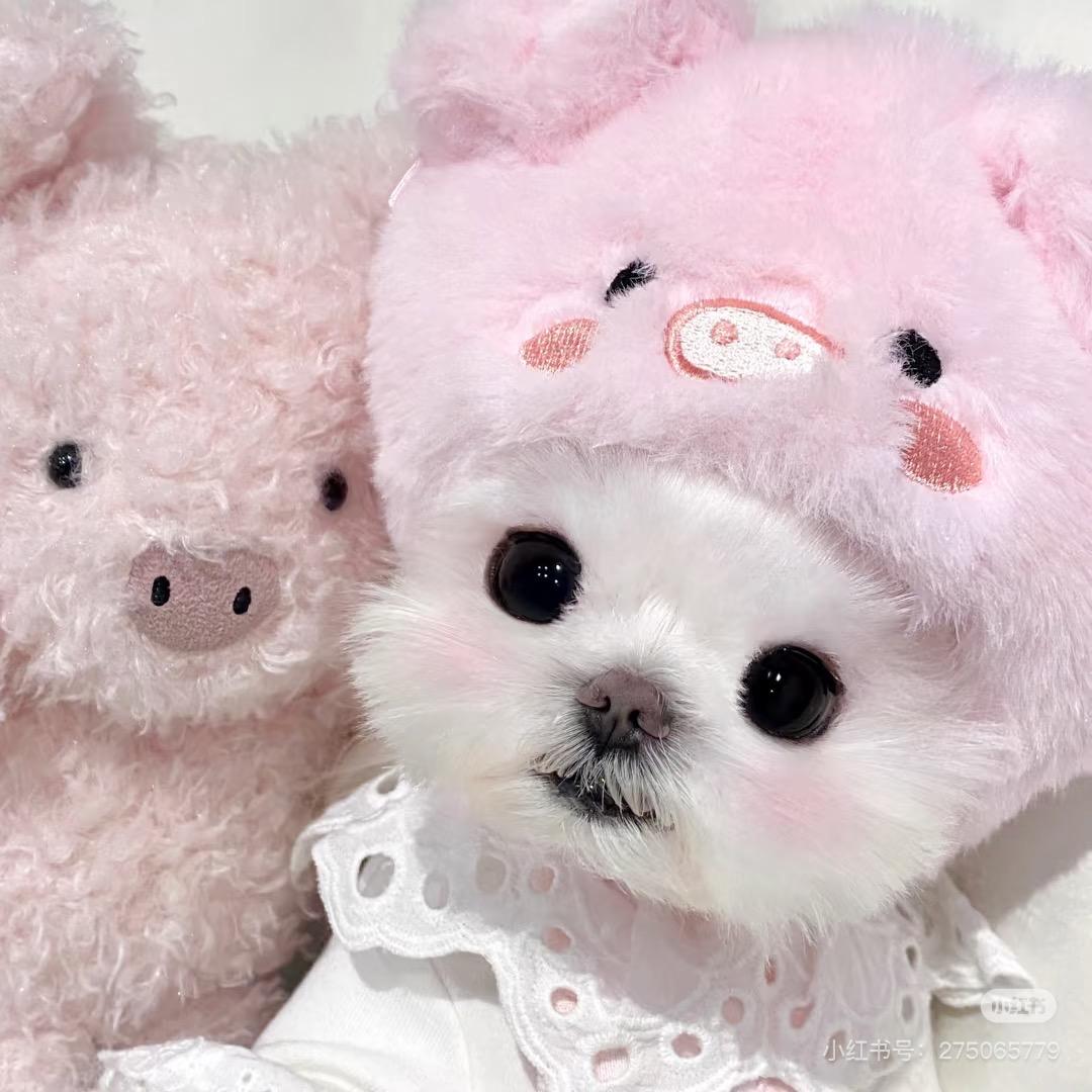安安🌙