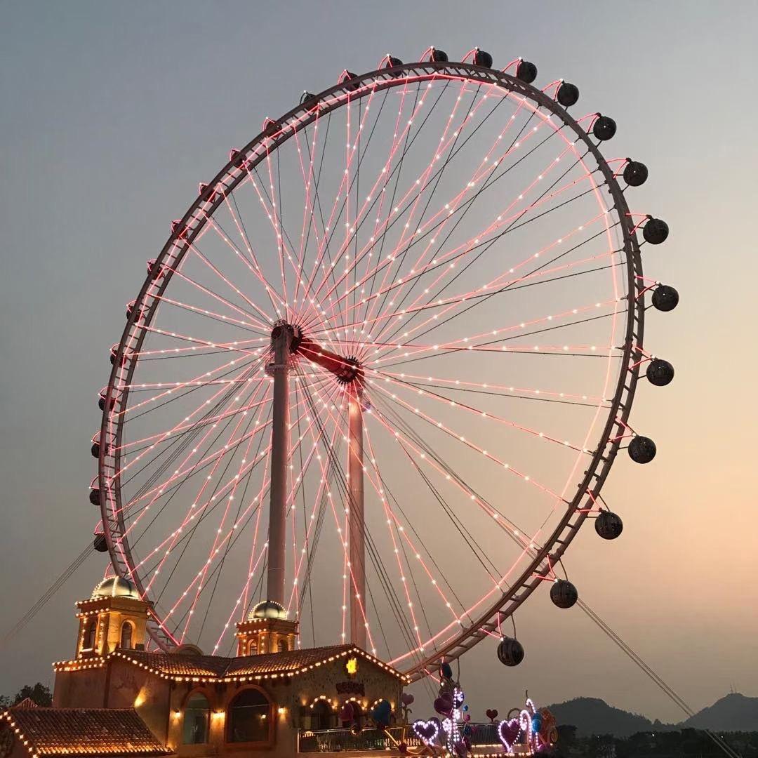 小杜爱生活