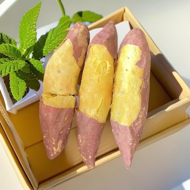 小陶 小香薯 人参薯